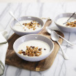 Doses de ferments lactiques pour yaourts natures