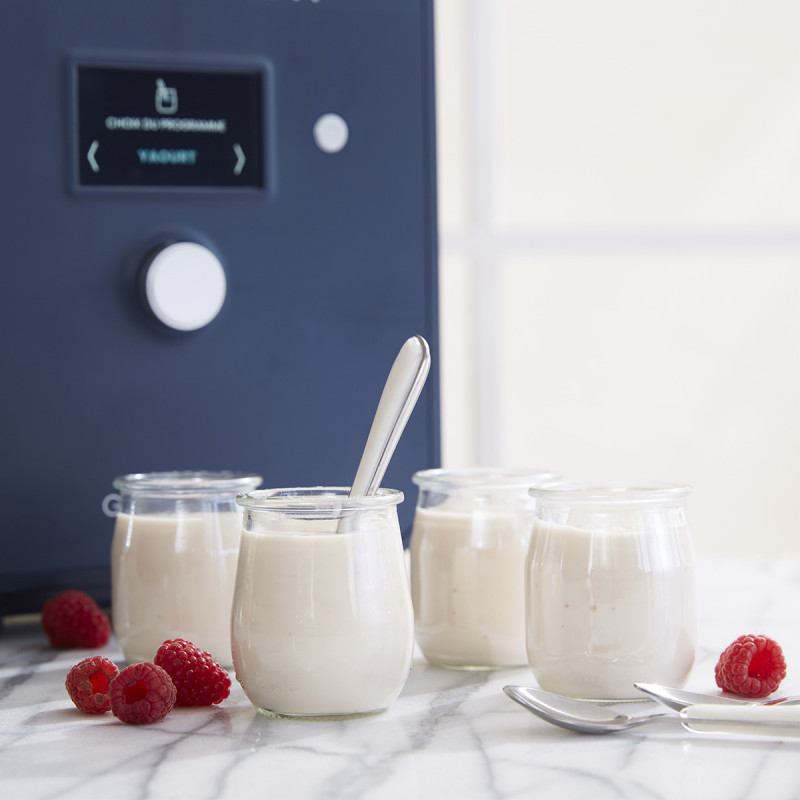 Doses de ferments lactiques pour yaourts aromatisés
