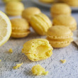 Toile de cuisson Macarons - Signature Maëlig Georgelin