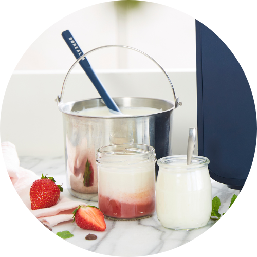 Brin de foli - le yaourt - ferment lactique pour yaourt maison (5